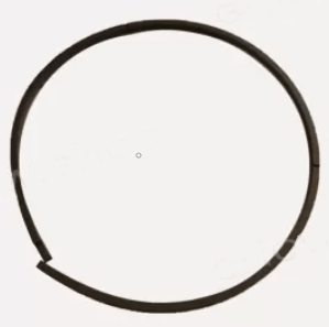 Segment piston Dana Spicer 240104