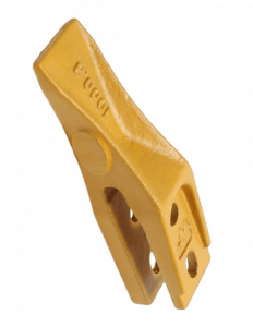 Dinte cupa Universal TEETH24